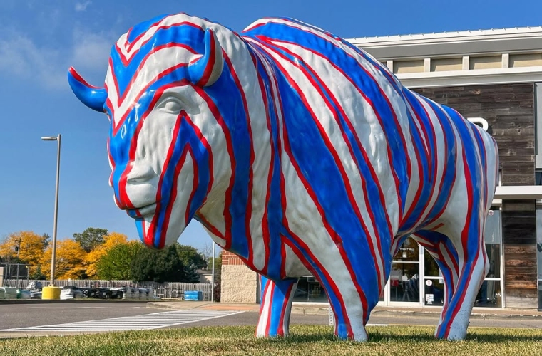 the boulevard buffalo